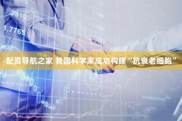 配资导航之家 我国科学家成功构建“抗衰老细胞”